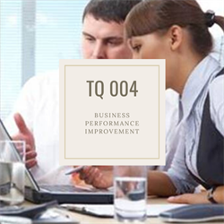 TQ 004 Business Performance Improvement