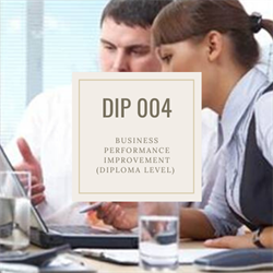 DIP 004 Business Performance Improvement