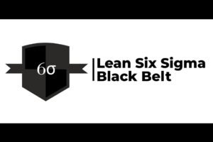 Lean Six Sigma Black Belt