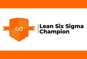 Lean Six Sigma Champion